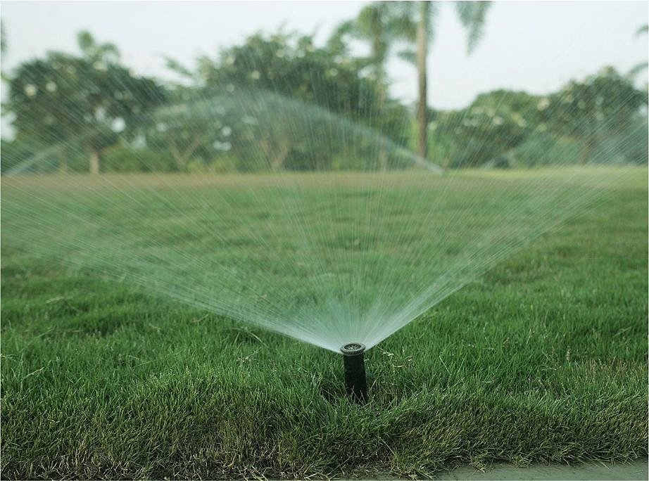 Water is recycled and irrigates
the farms in the ANJ factory